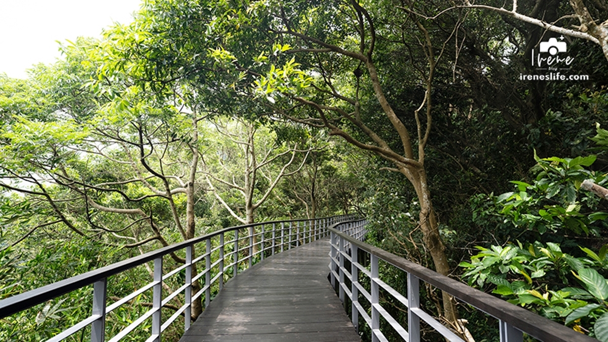 觀音山設有許多步道，其中「林梢步道」是１條入門等級的步道。（圖片來源：IRENE'S 食旅．時旅）