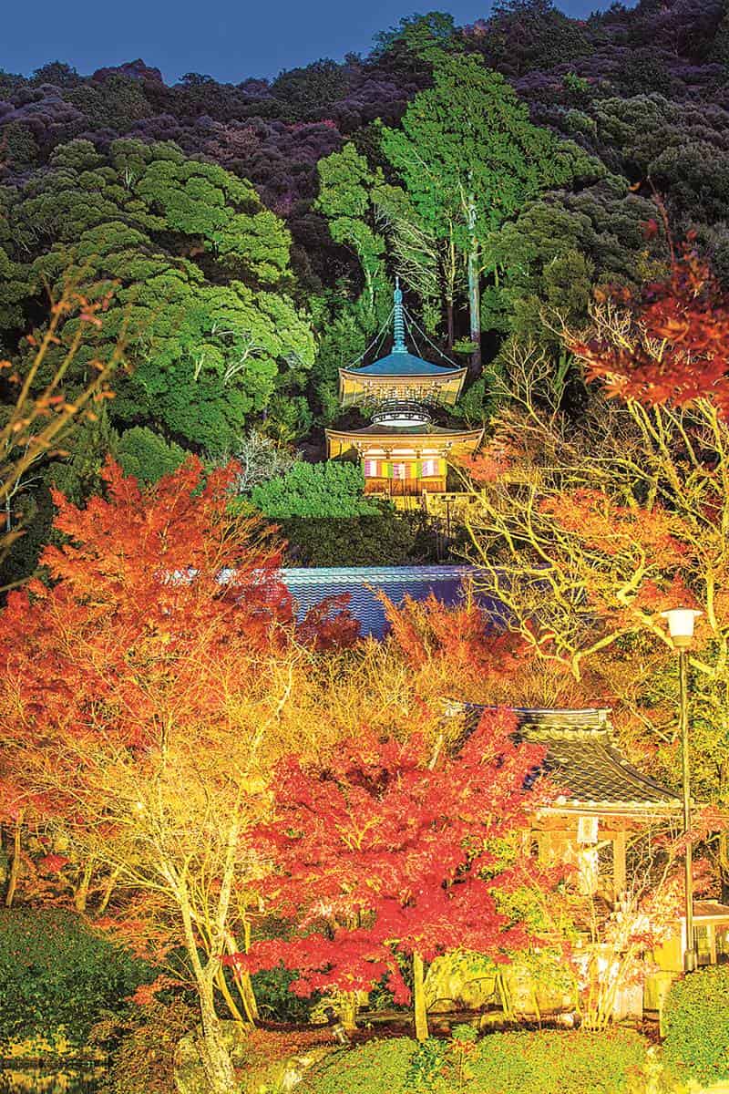 京都賞楓準備！最美路線５景點１次玩：每年限時開放、晚上還能賞夜楓