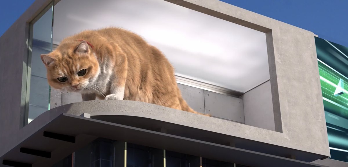 巨萌「胖橘貓」現身基隆！全台最大裸視3D螢幕「這天」登場，最新打卡點快衝