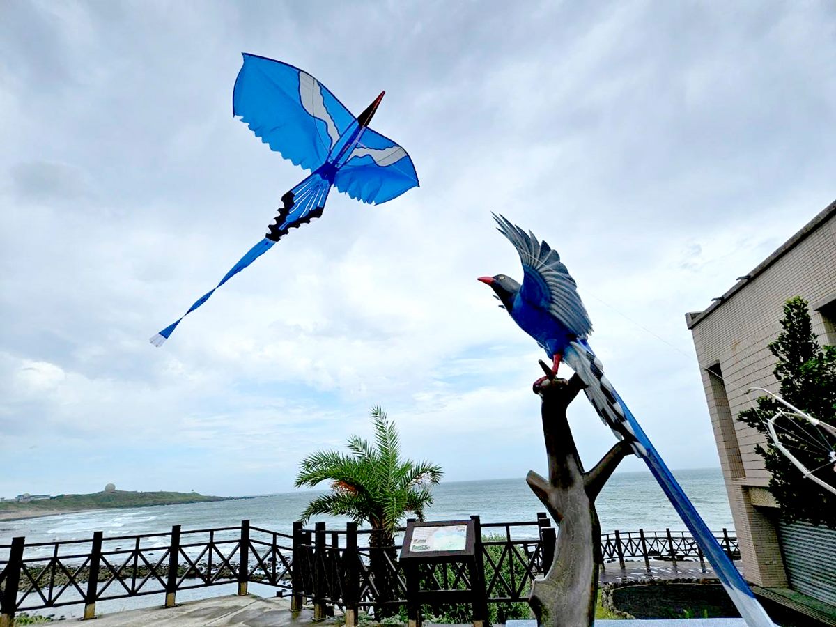 睽違３年！北海岸風箏節「這１天」強勢回歸，藍鵲＋肉粽風箏升空、限量DIY