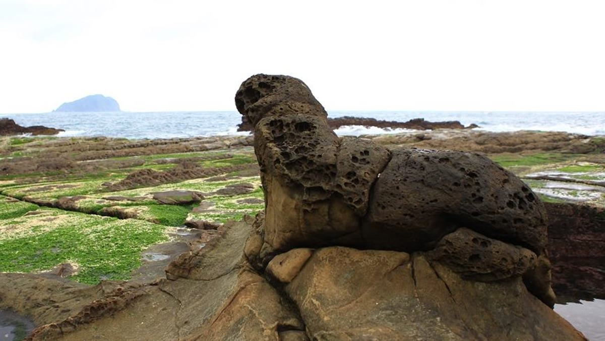 「海豹岩」從這角度看，就像是海豹癡望著基隆嶼。（圖片來源：可大王愛旅行）