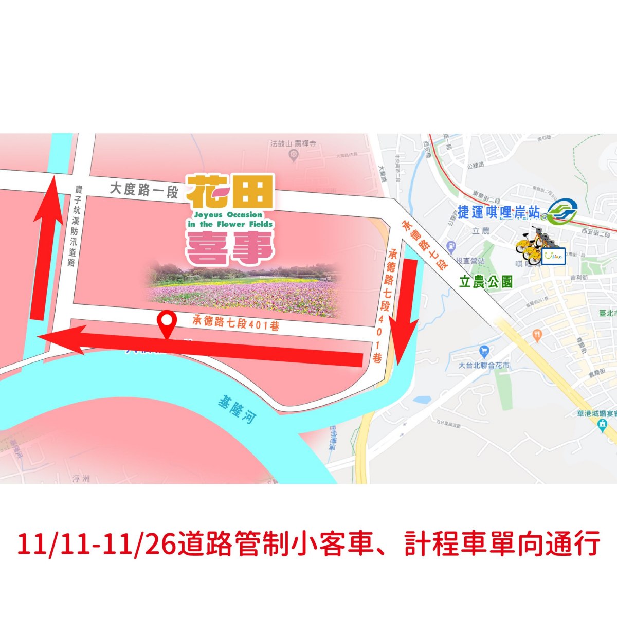 破萬坪「七彩漸層花海」在台北！雙11開跑免費拍爆，接駁車、交通資訊一次看
