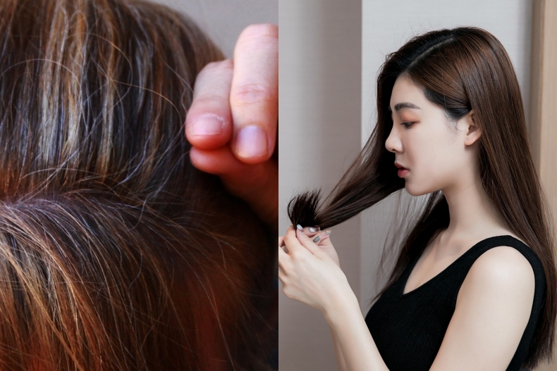 2024染髮趨勢揭曉！柔和桃髮色韓星最愛，這款被譽為地表最強遮白髮髮色