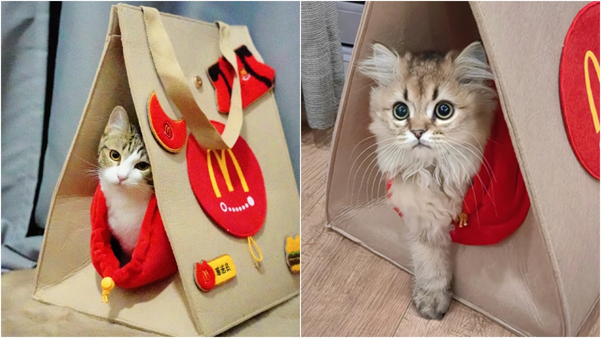 貓奴暴動！麥當勞推出限量「袋袋貓窩」，還有超貼心洞洞探頭、貓抓板設計