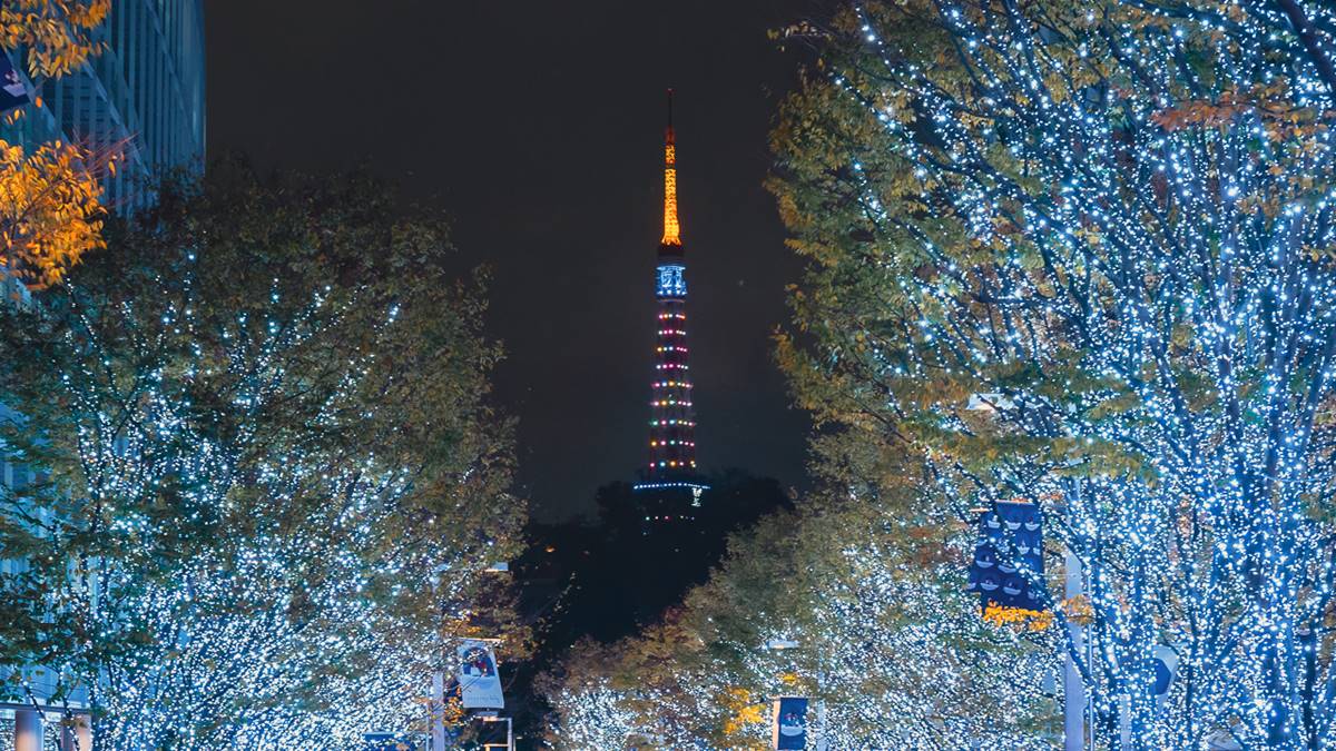 美到像拍日劇！冬季限定「東京最美聖誕點燈」，80萬顆燈海搭東京鐵塔拍爆