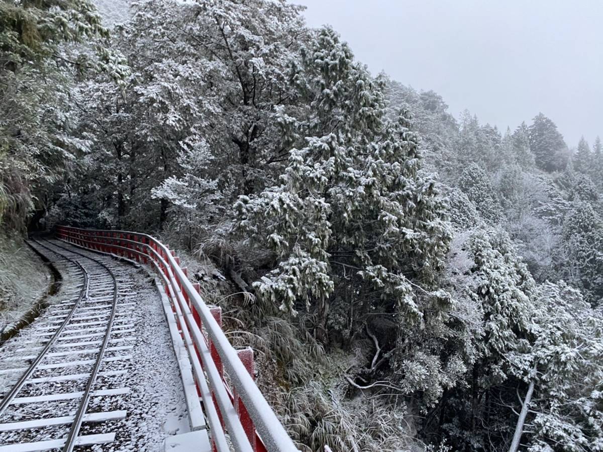 宜蘭太平山下雪啦！觀景台、火車鐵軌積雪秒變「雪白仙境」，追雪族快朝聖