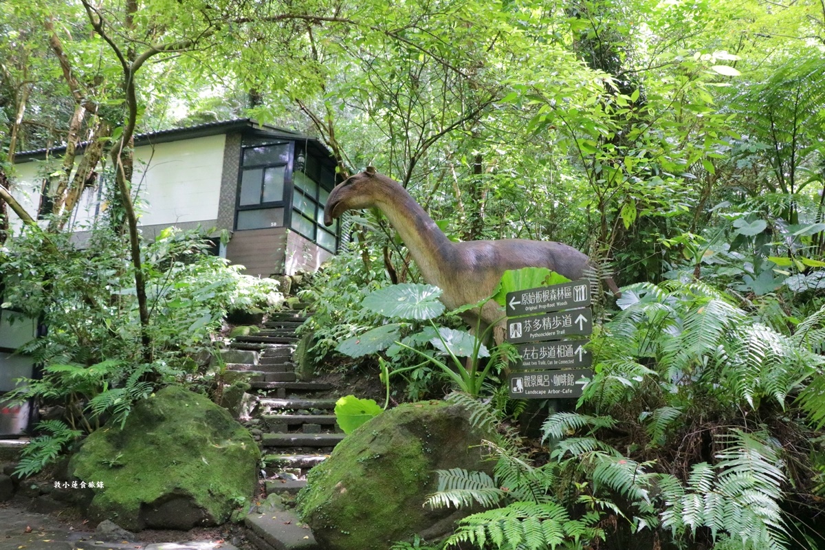 台北溫泉住宿「三峽大板根森林溫泉酒店」，SPA、交通、優惠看這