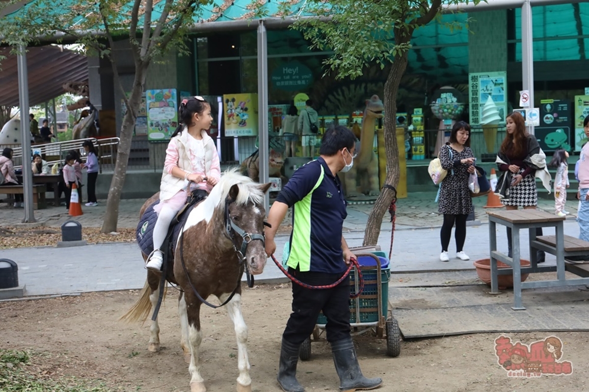 台南「隱藏版動物園」60元玩到飽！近距離餵超萌天竺鼠、小羊，體驗帥氣騎馬