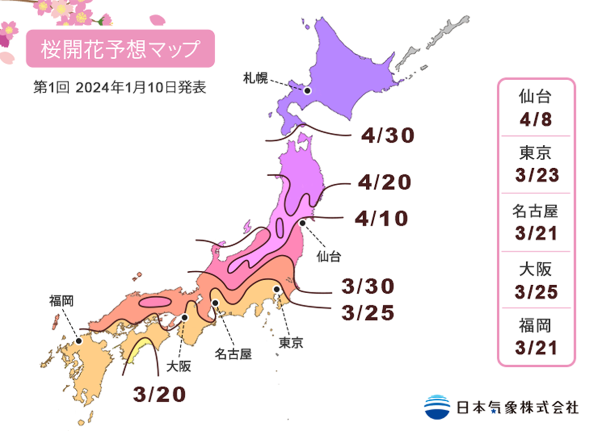 2024日本「櫻花前線」公布！暖冬氣候影響花況，注意時間別撲空