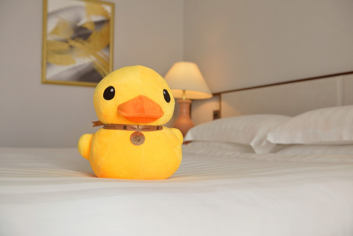 免擠人黃色小鴨看到飽！２大星級飯店推住房優惠，免費送小鴨玩偶+泡澡鴨
