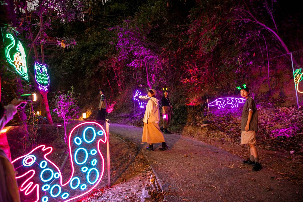 夜遊南台灣最美「瀑布光影展」！４大展區搶拍可愛幻獸、彩虹瀑布、大型水芋