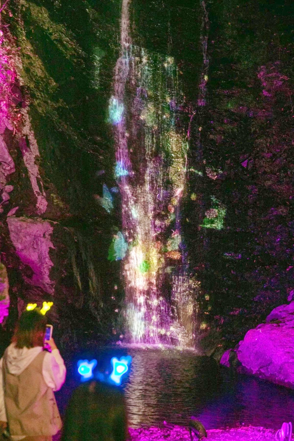 夜遊南台灣最美「瀑布光影展」！４大展區搶拍可愛幻獸、彩虹瀑布、大型水芋