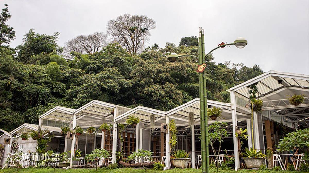 IG打卡必拍的「空氣圖書館」是網美最愛的綠色溫室風格餐廳。（圖片提供：妮喃小語）