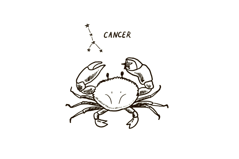 巨蟹座：特別關心