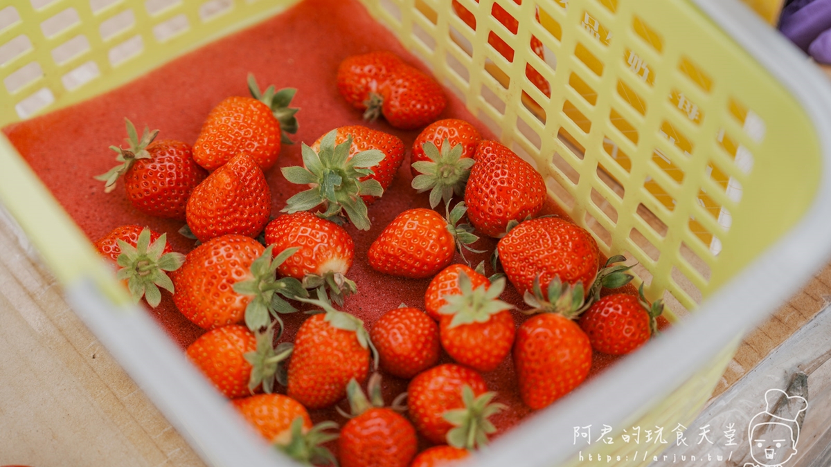 「名品牛奶草莓園」的草莓很香甜，汁也很多。（圖片來源：阿君的玩食天堂）