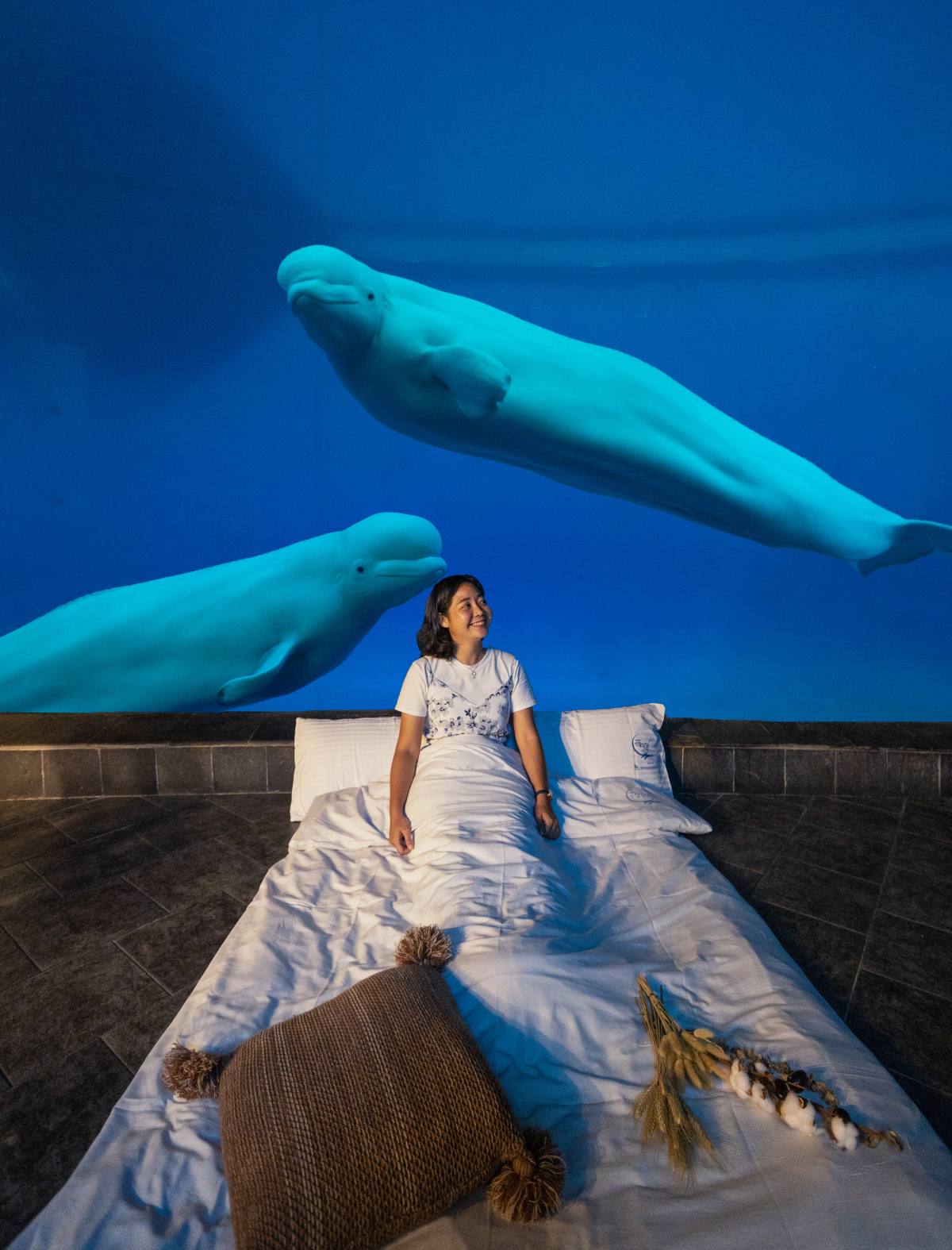 魚魚、小白鯨陪睡！２天１夜「夜宿海生館」行程：７大最美就寢區、夜間探險