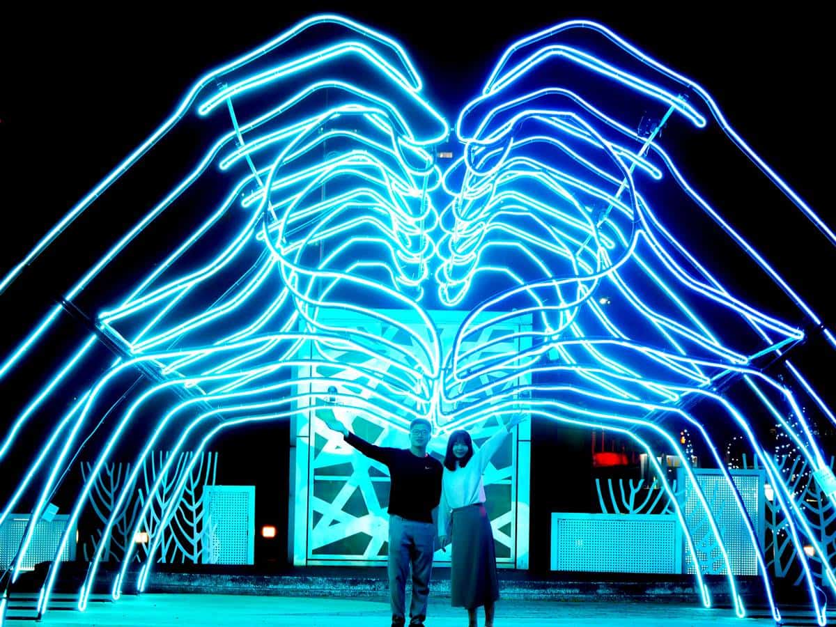 新莊中港大排光雕展「這天」點燈！６大燈飾免費拍：愛心光廊、巨型鯨魚投影