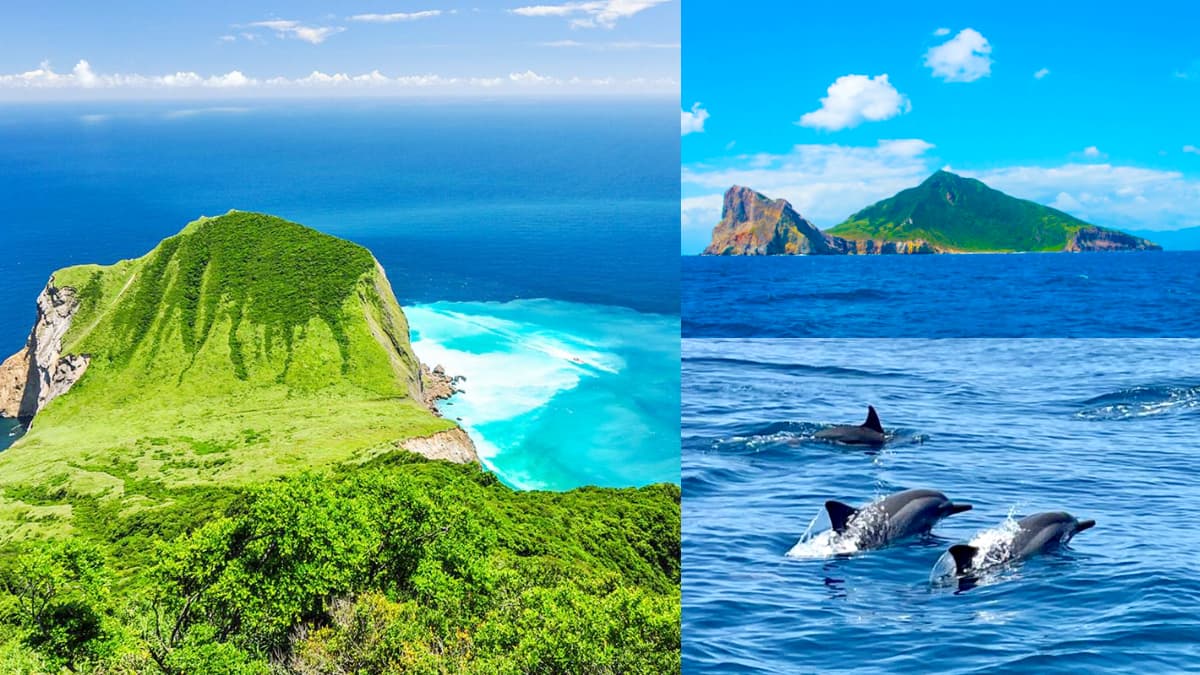 全球最酷「龜山島」限時開放！看完登島須知快搶訂，搭船賞鯨＋打卡牛奶湖