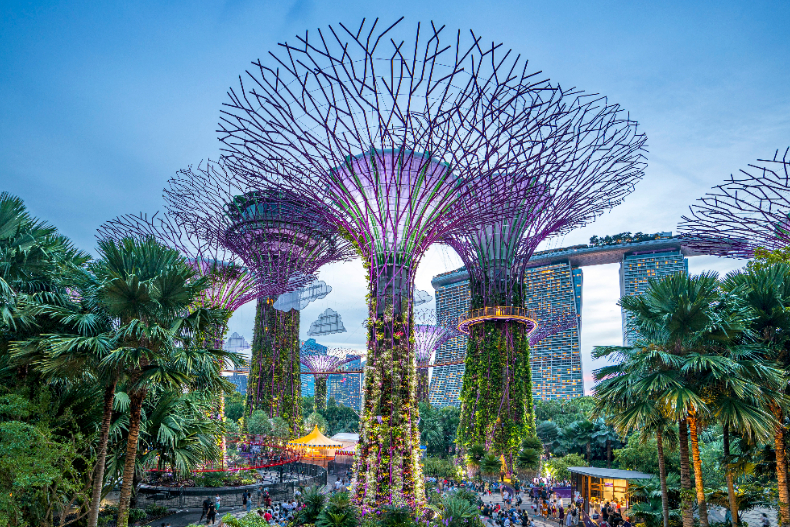 2024新加坡景點推薦：濱海灣花園「超級樹」
