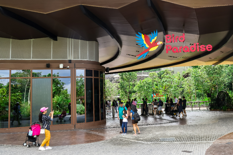 2024新加坡景點推薦：飛禽公園（Bird Paradise）