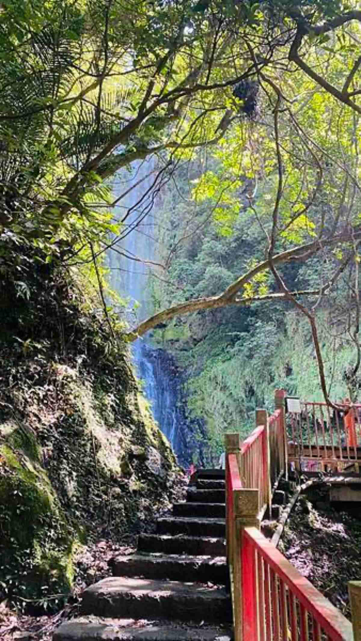 30分鐘朝聖３層瀑布！宜蘭「新手級森林步道」近距離賞飛瀑美景、吸爆芬多精