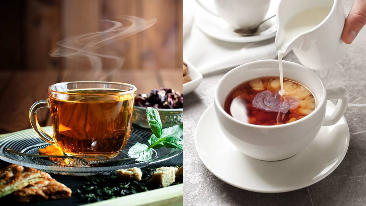 紅茶VS咖啡誰的咖啡因多？南非國寶茶竟然「不是茶」？紅茶知識大蒐祕