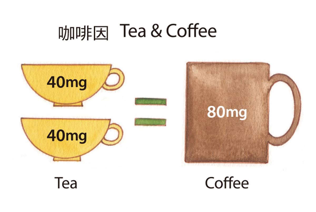 紅茶VS咖啡誰的咖啡因多？南非國寶茶竟然「不是茶」？紅茶知識大蒐祕