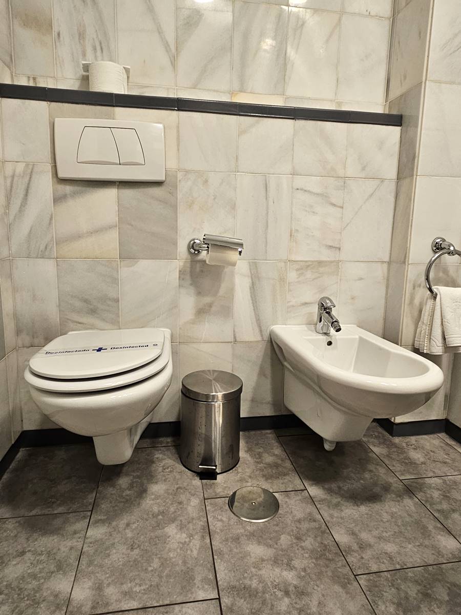 飯店廁所內有「２個馬桶」？第二馬桶真正妙用曝光，遊客驚：我都拿來冰啤酒