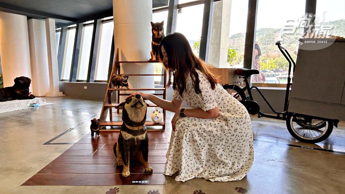 日本最萌「貓狗木雕展」登台！開箱４大亮點：14米高擁抱貓貓、獨家貓咪燒