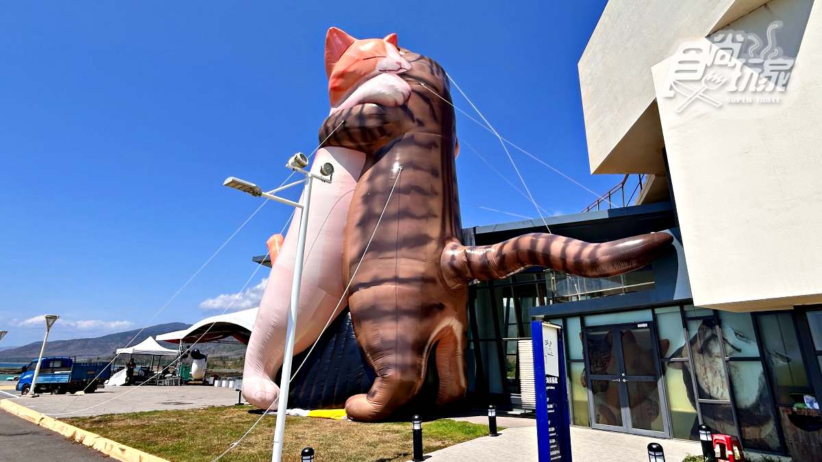 日本最萌「貓狗木雕展」明登台！開箱４大亮點：14米高擁抱貓貓、獨家貓咪燒