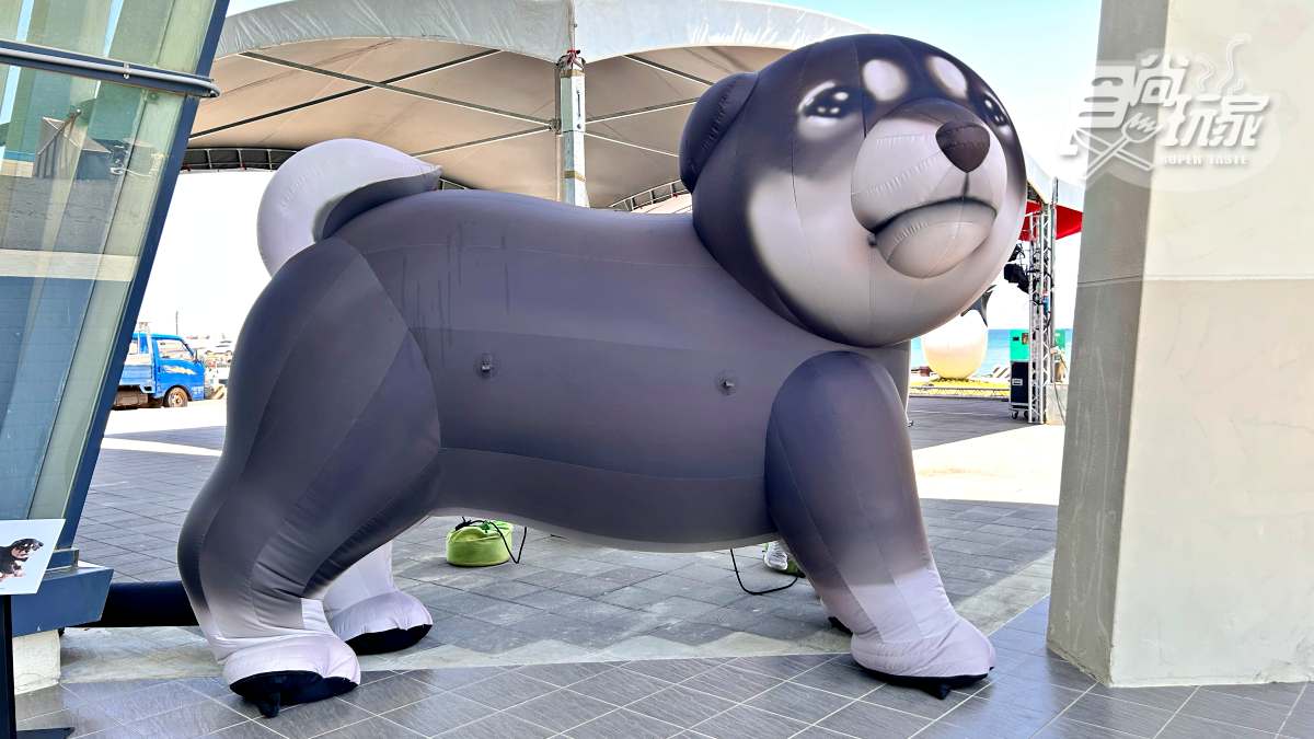 日本最萌「貓狗木雕展」明登台！開箱４大亮點：14米高擁抱貓貓、獨家貓咪燒