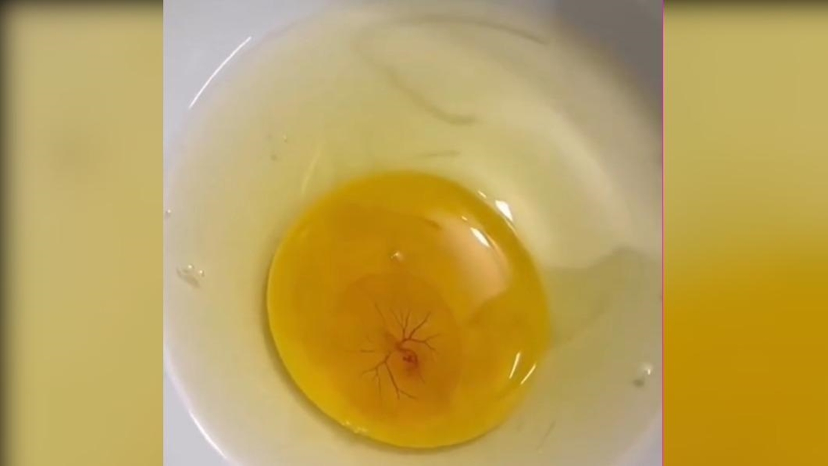 他打蛋進碗裡驚見蛋黃有小心臟在跳！內行人曝１招「無殼孵蛋」急喊：還有救