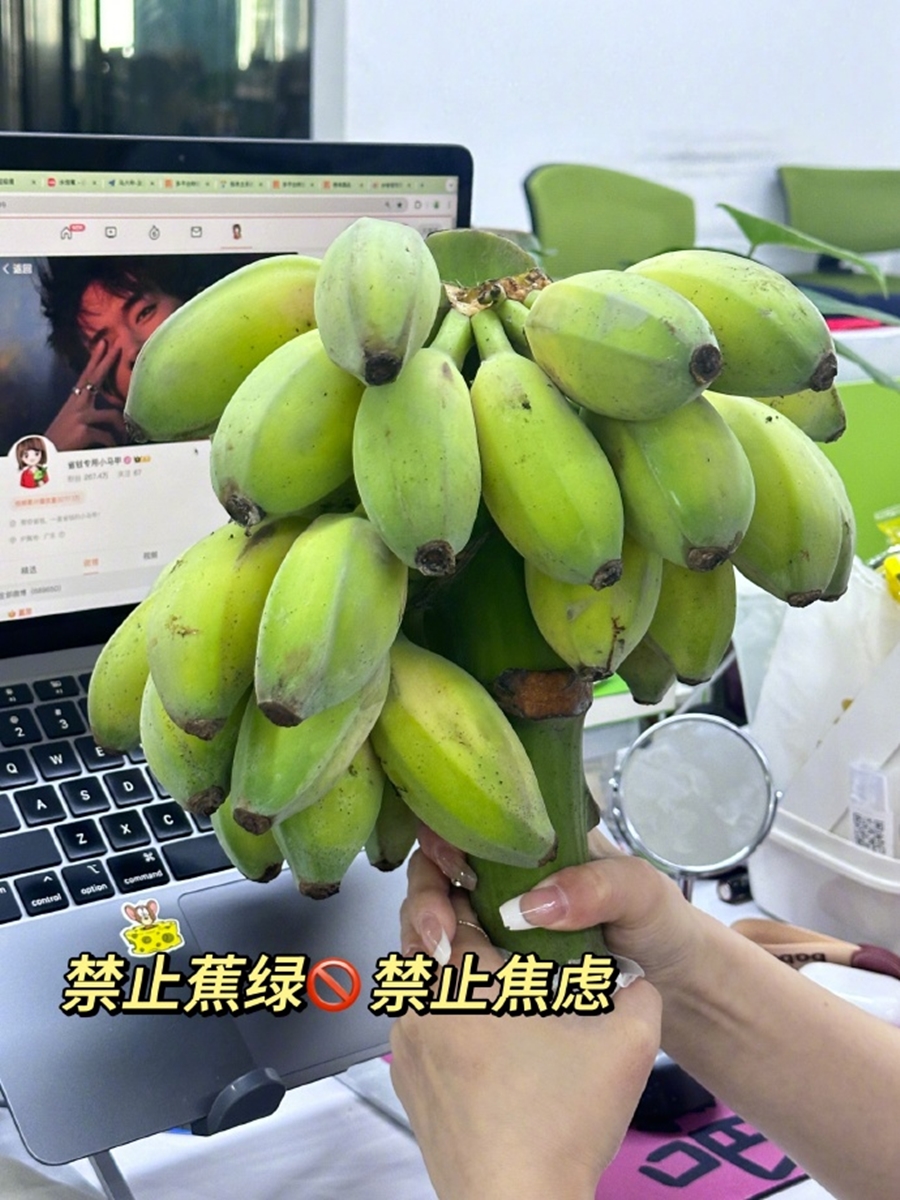香蕉變身辦公桌植栽！掛標語「禁止蕉綠」上班超紓壓，１週後還能分給同事吃
