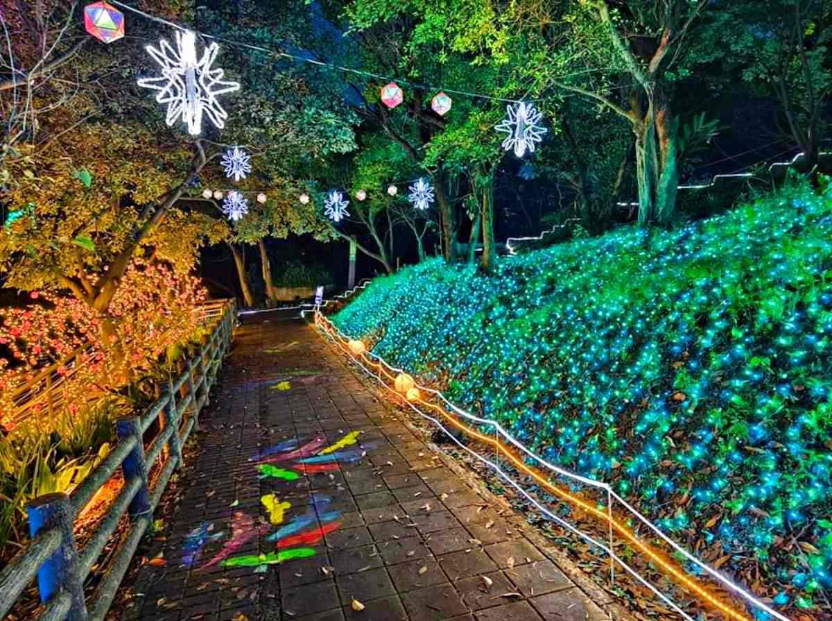 「桃園最美夜景步道」搶先點燈！燈球廊道、精靈樹免費拍爆，順逛小農市集
