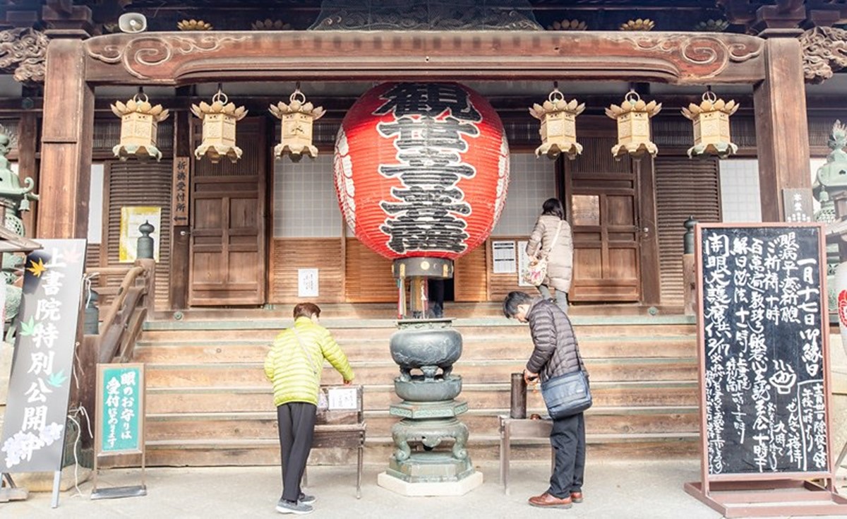 京都「繡球花寺」必朝聖！洗手池飄滿絢爛花球，還有５千株繡球讓你拍到飽