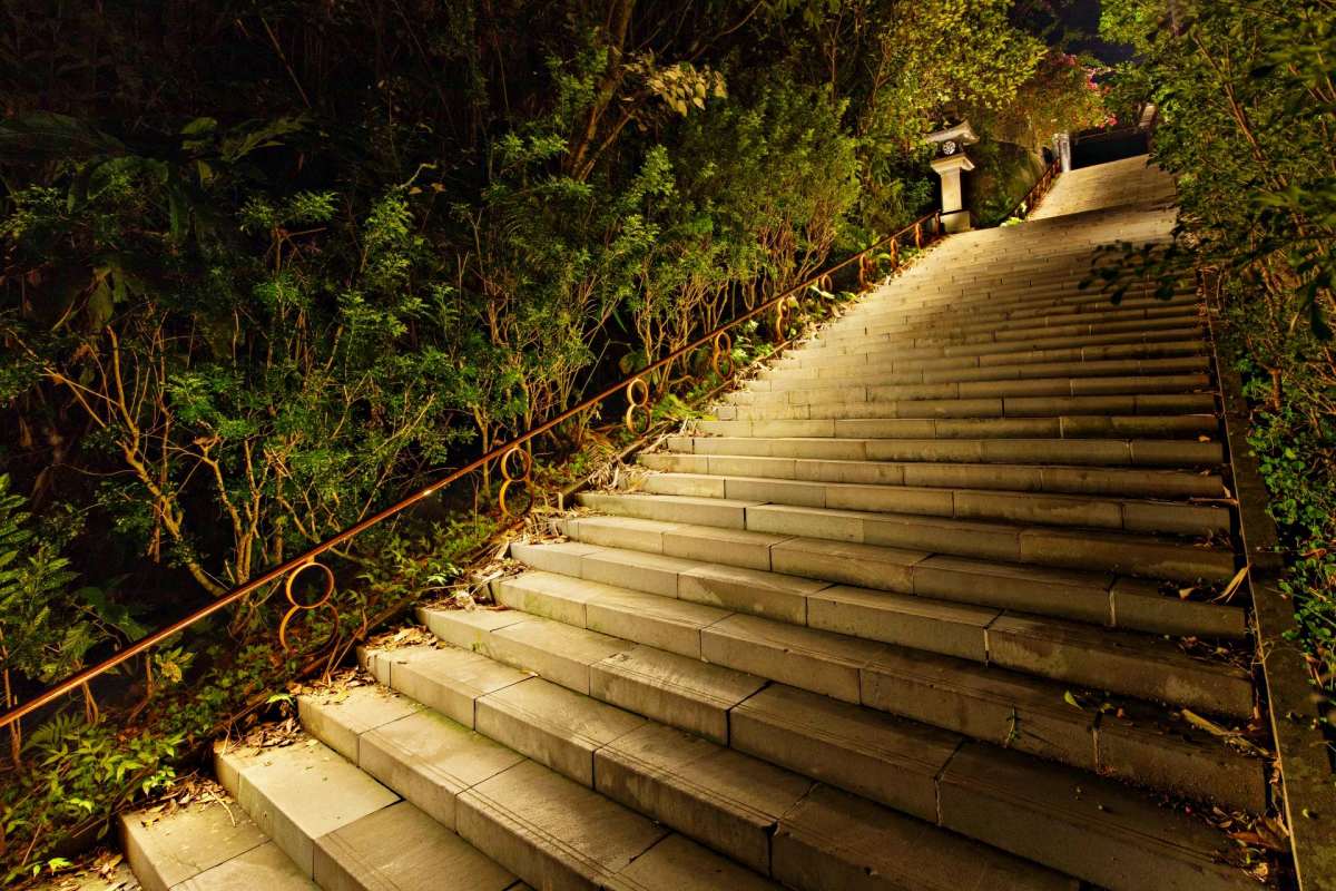 比日本神社更美！「百年日式千階步道」換新裝，竹柏隧道＋石燈籠暖光美翻