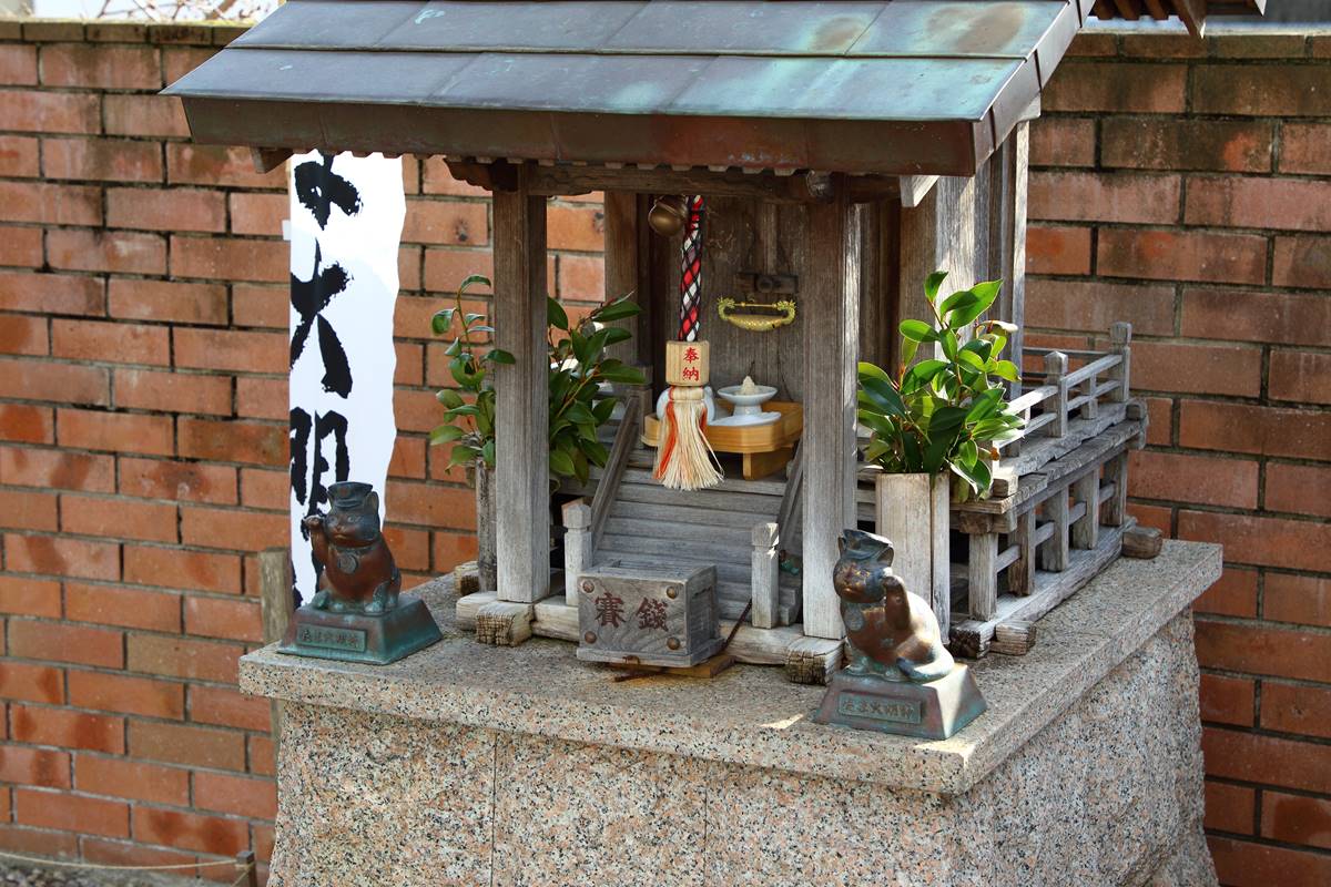 貓奴、狗奴們注意！日本最紅「小玉貓站長」大明神，超萌貓狗神社有拜有保佑