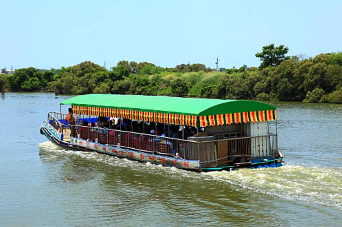 台南「四草綠色隧道」行程攻略：竹筏觀光船門票資訊、５大亮點特色
