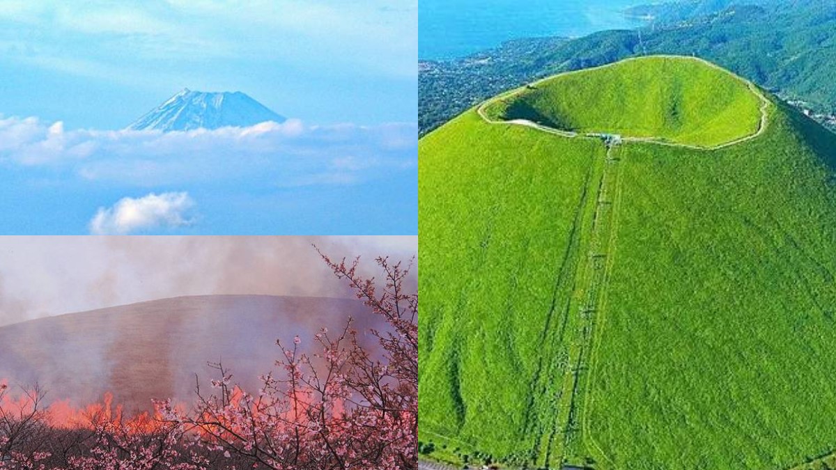 580公尺「抹茶布丁山」！欣賞雲中富士山，花百元還能體驗「放火燒山」