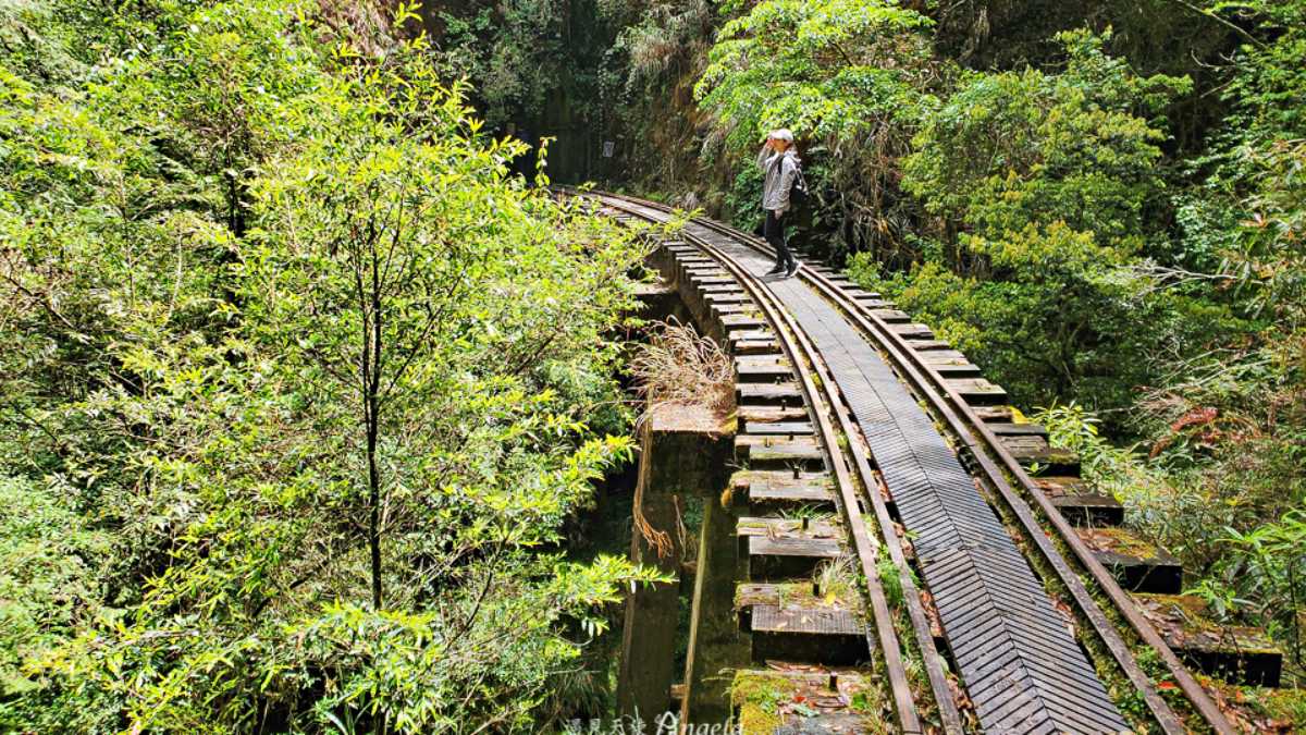 眠月線被譽為阿里山最美林業鐵路步道。（圖片來源：遇見天使~Angela）