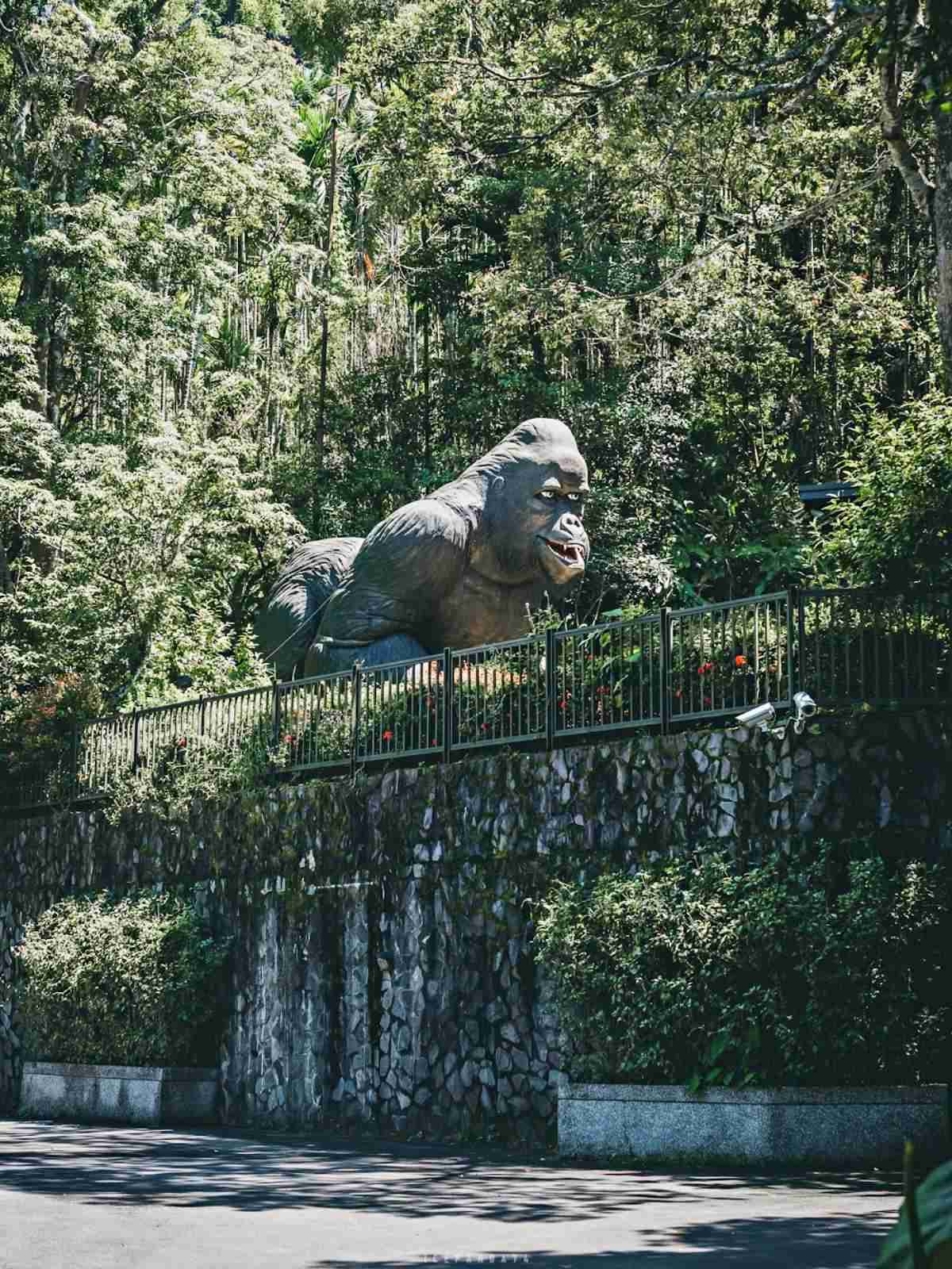 誤闖侏羅紀公園？全台唯一「恐龍森林步道」藏在這，百年巨藤、榕樹根太壯觀