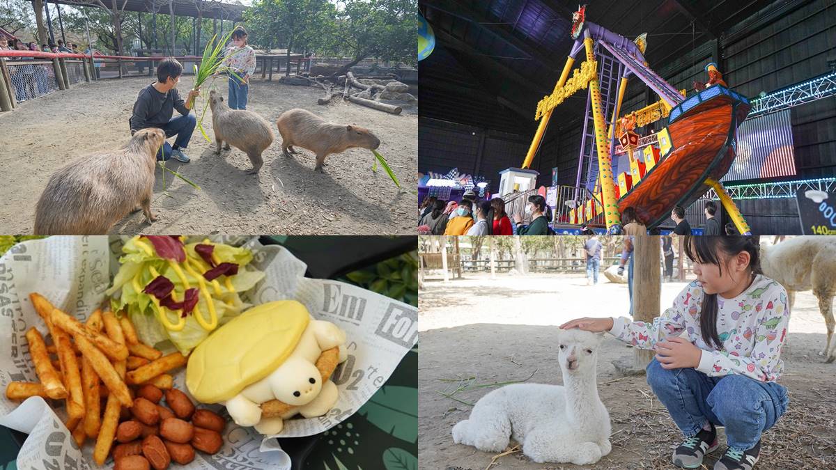 零距離餵萌水豚！台南「頑皮世界野生動物園」行程攻略：特色亮點、門票資訊