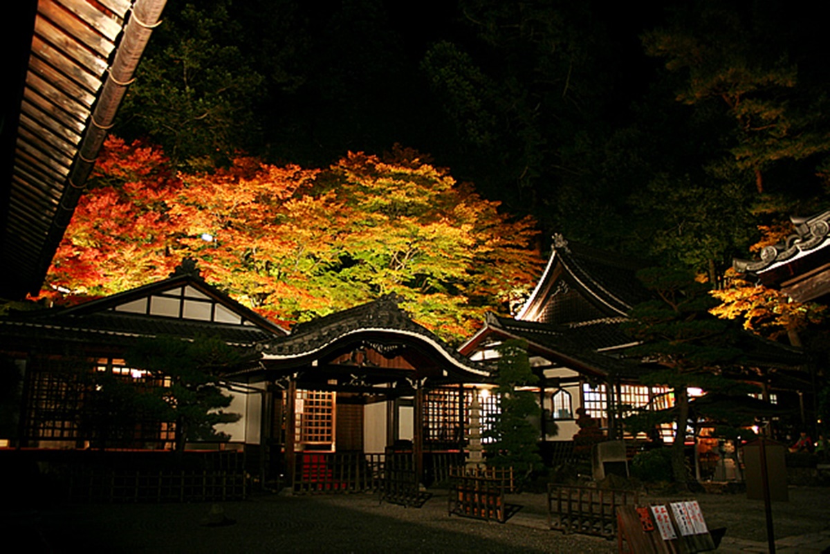 下呂溫泉旅遊攻略！合掌村、美食、煙火祭典、逛街、交通指南一次看