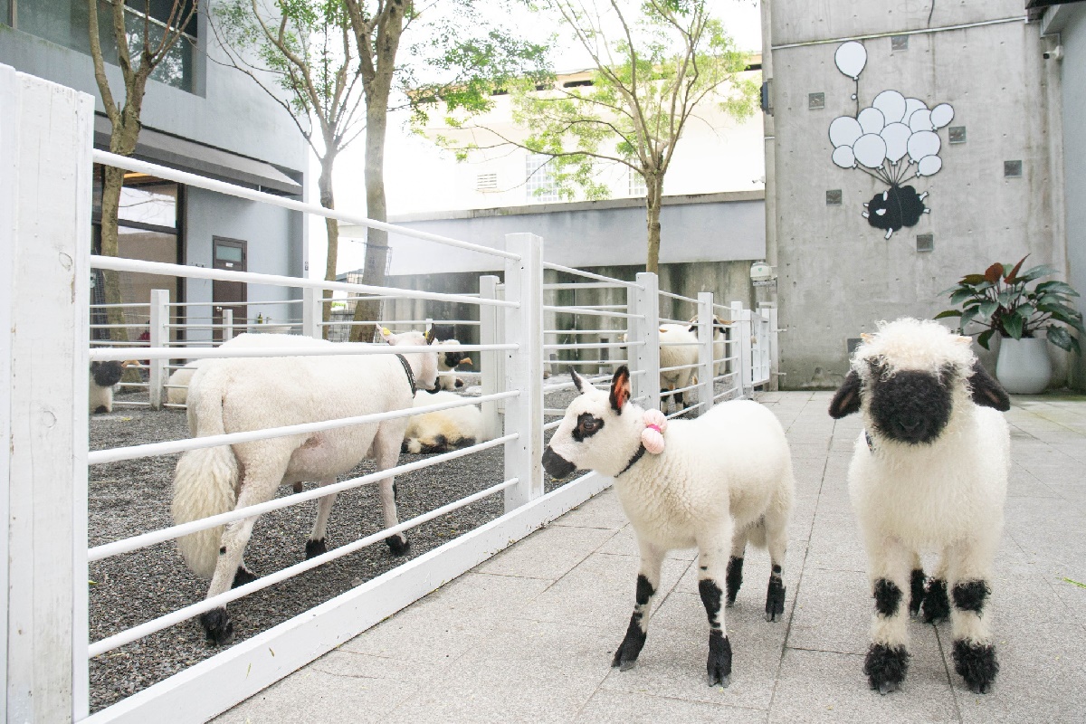 【獨家】送5000好康！全台最大「日式主題飯店」優惠，浴衣、忍者體驗還可餵水豚