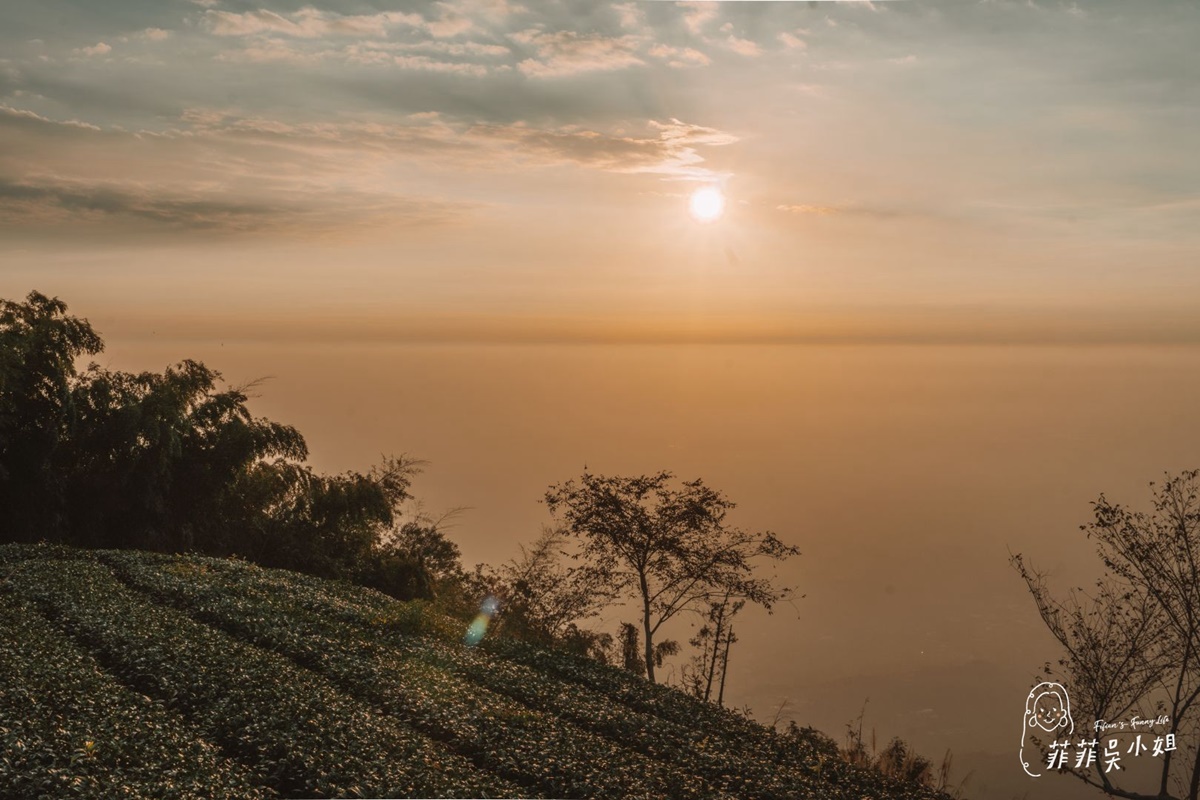 嘉義夜晚景點推薦Top 12：嘉義夕陽夜景拍照、晚上約會好去處