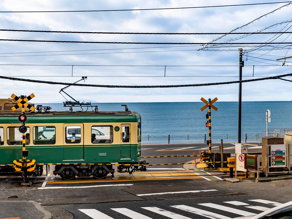 沒做「６件事」別說去過日本！旅日逾10次達人票選：最美賞楓地、這裡餵海鷗