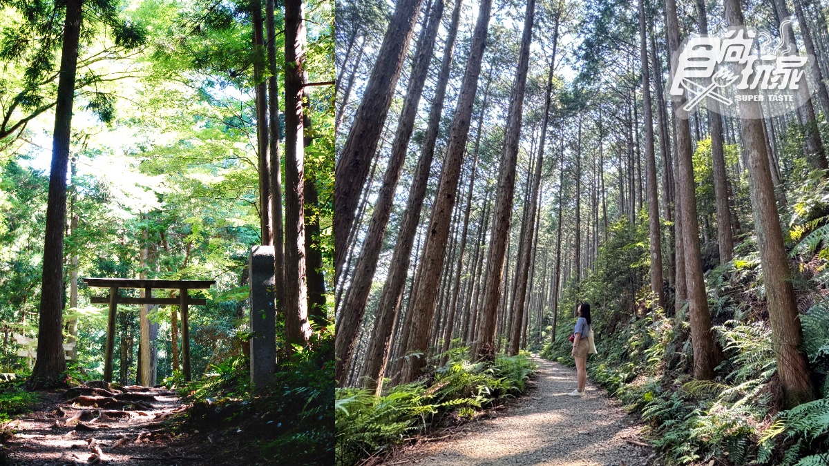 你沒玩過的日本！「日本的夏威夷」和歌山17選：天空之鏡、住寺廟、童話咖啡屋