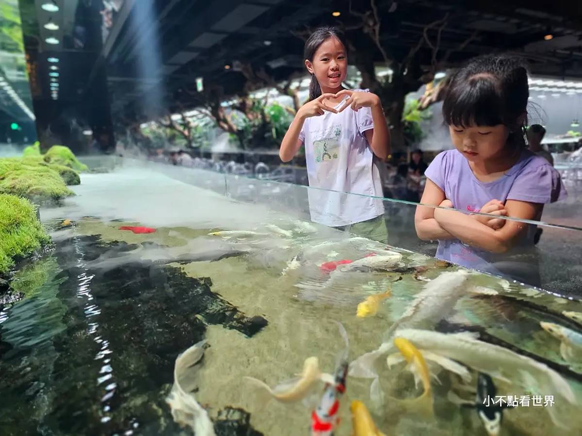 快來當小美人魚！超涼感「水族館餐廳」彷彿走進海底，繽紛魚群看了好療癒