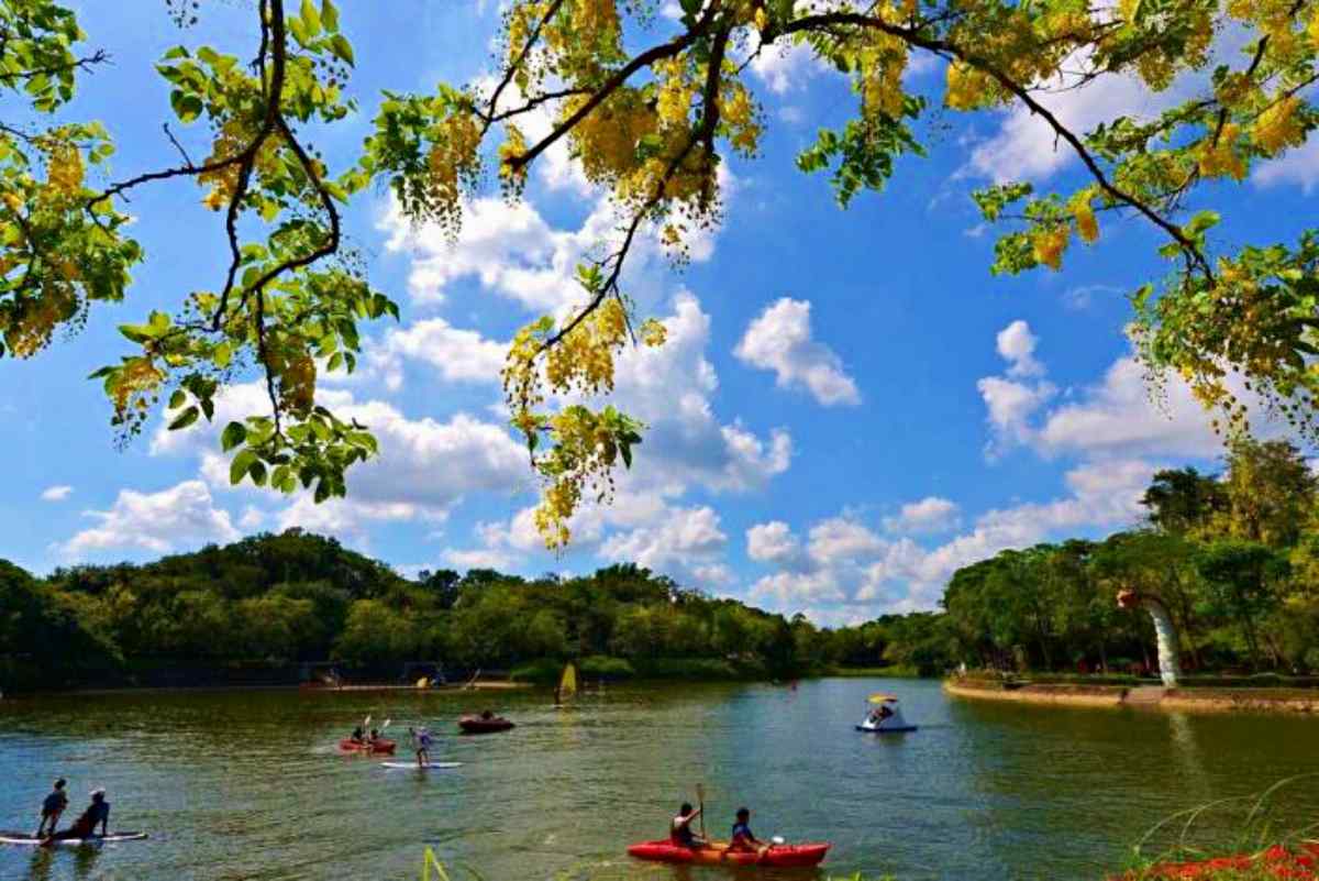 台南首座「空中纜車」要來了！２公里路線、４站點曝，俯瞰虎頭埤湖光山色