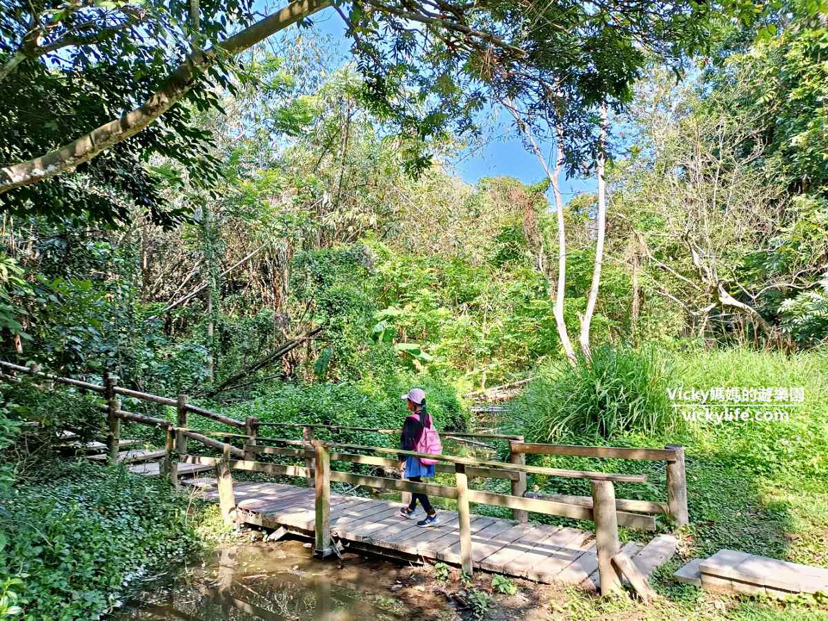 台南首座「空中纜車」要來了！２公里路線、４站點曝，俯瞰虎頭埤湖光山色